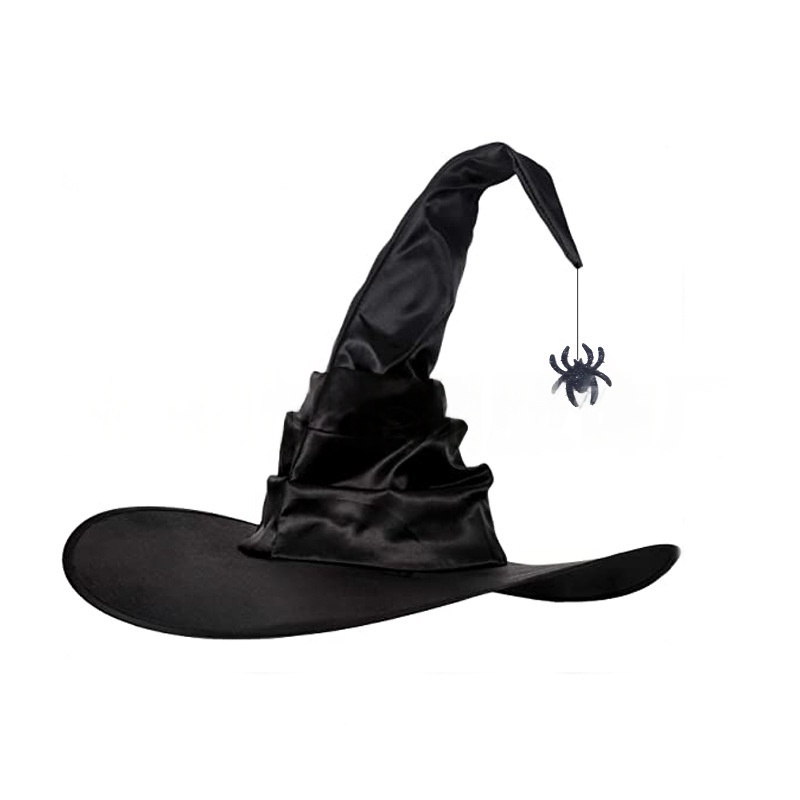 Womens Halloween Witch Hat with Spider Decoration